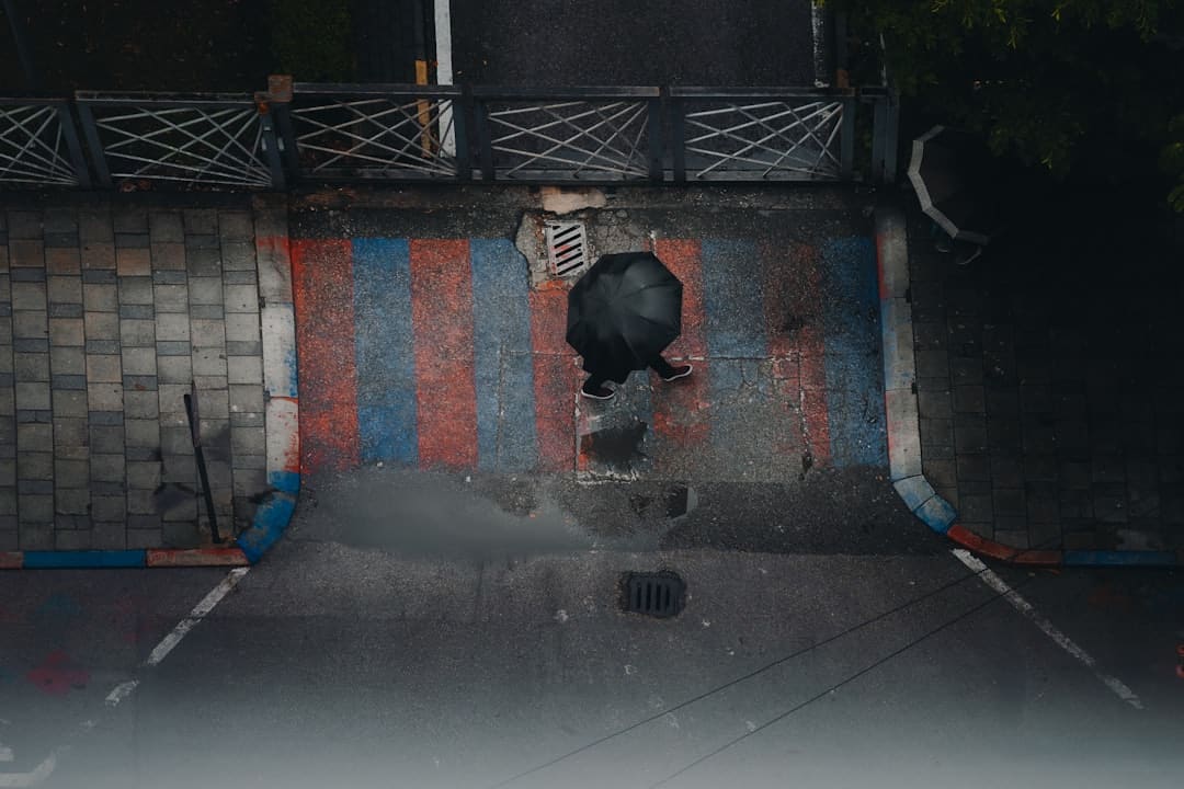 《歌手2024》：凡希亚《Grende》夺冠，许钧C